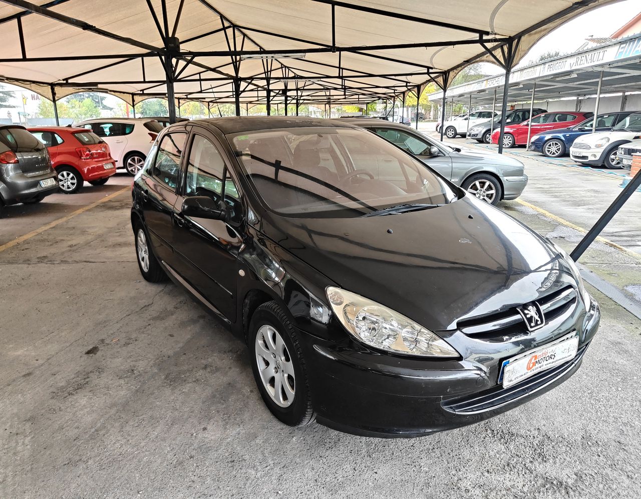Foto Peugeot 307 4