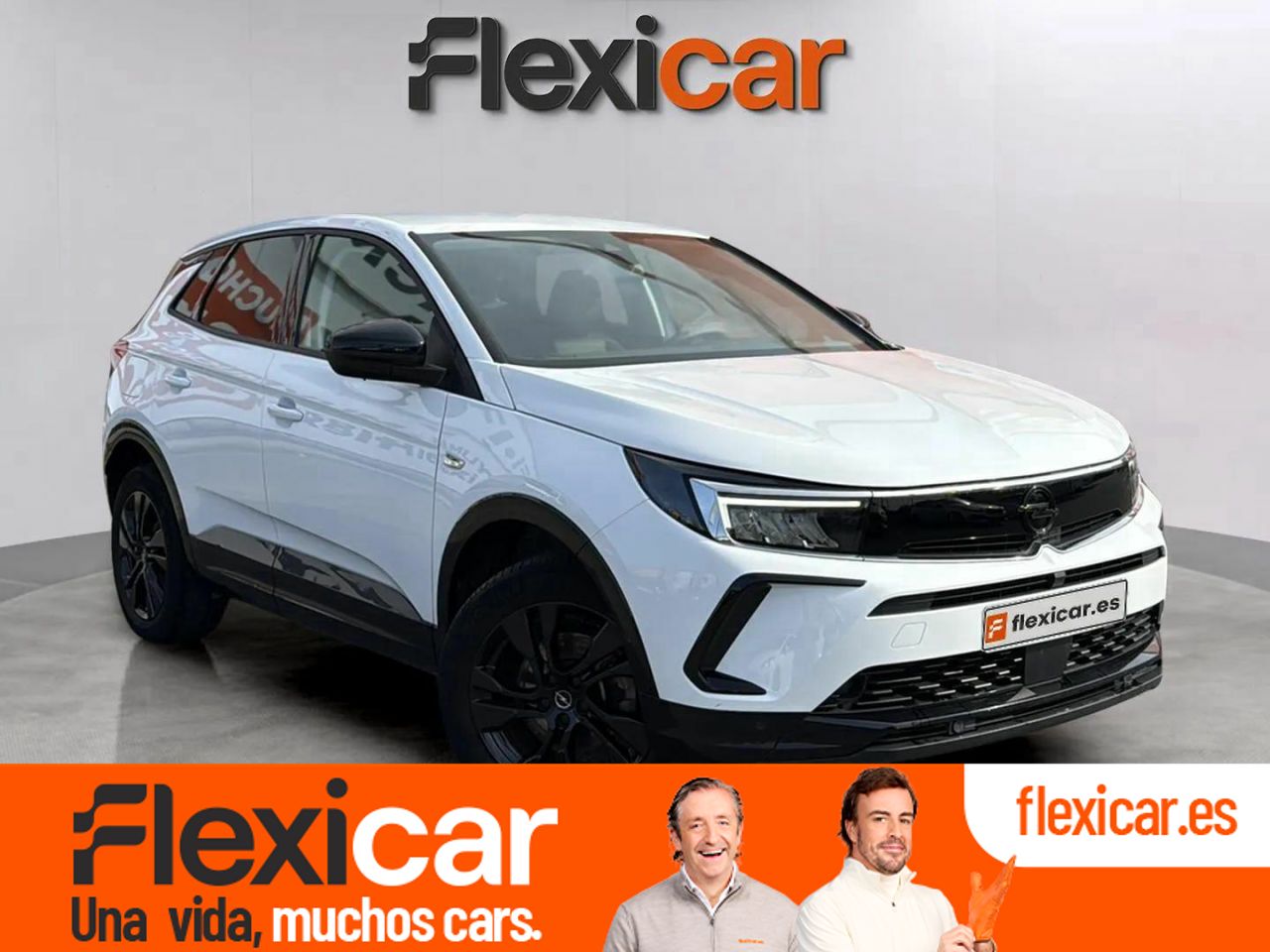 Foto Opel Grandland X 1