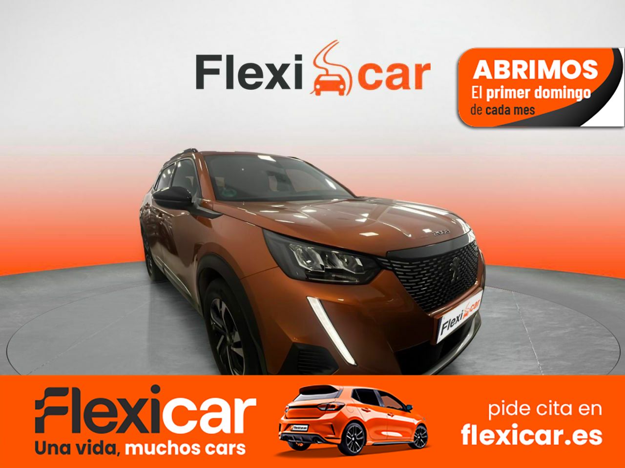 Foto Peugeot 2008 1