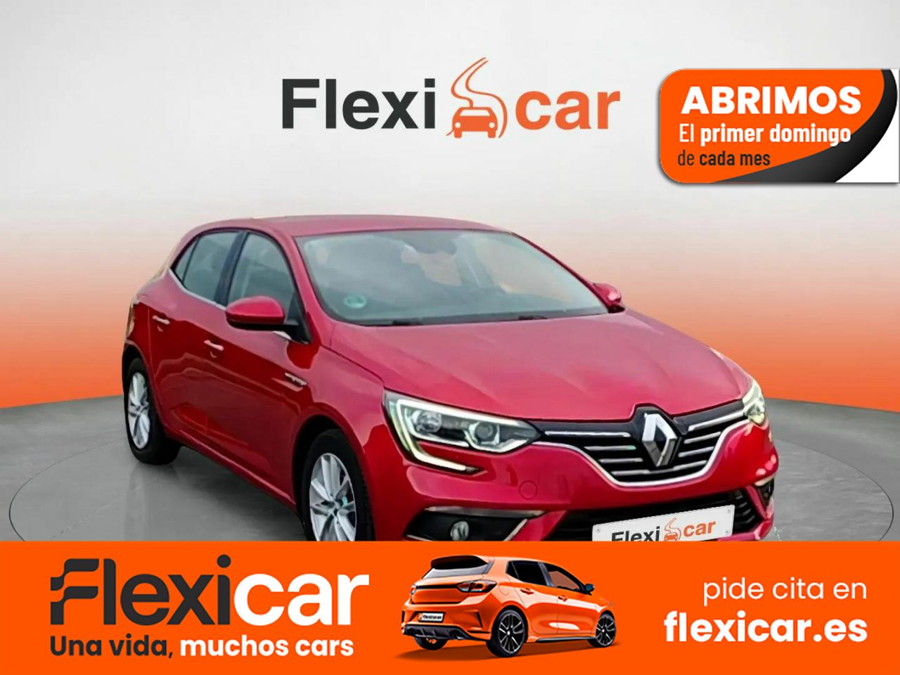 Foto Renault Mégane 1