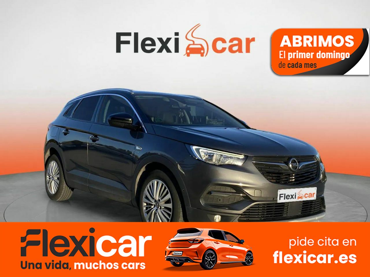 Foto Opel Grandland X 1