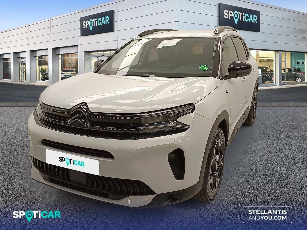 Foto Citroën C5 Aircross 1