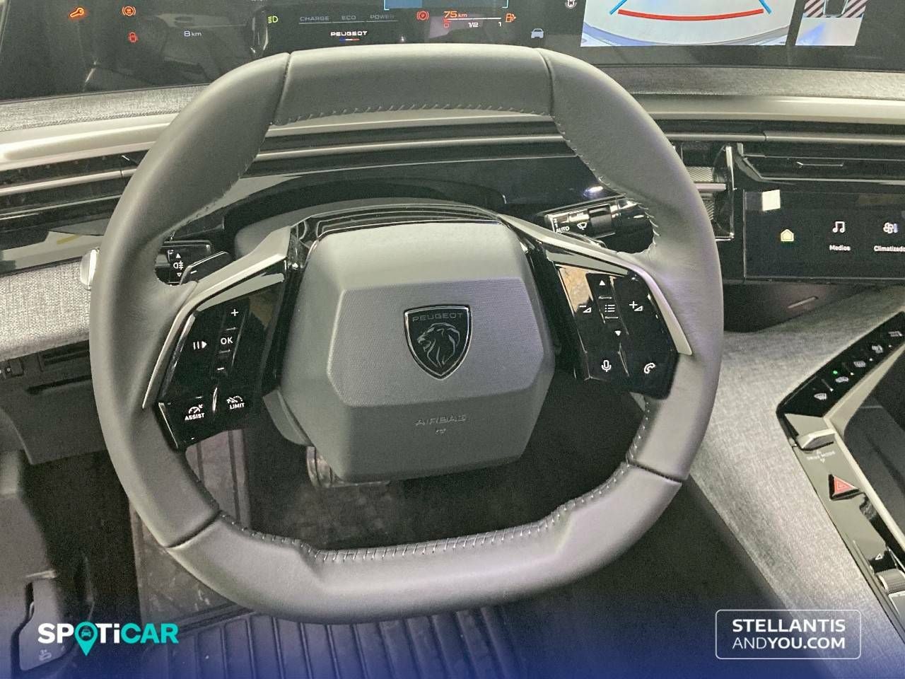 Foto Peugeot 3008 14