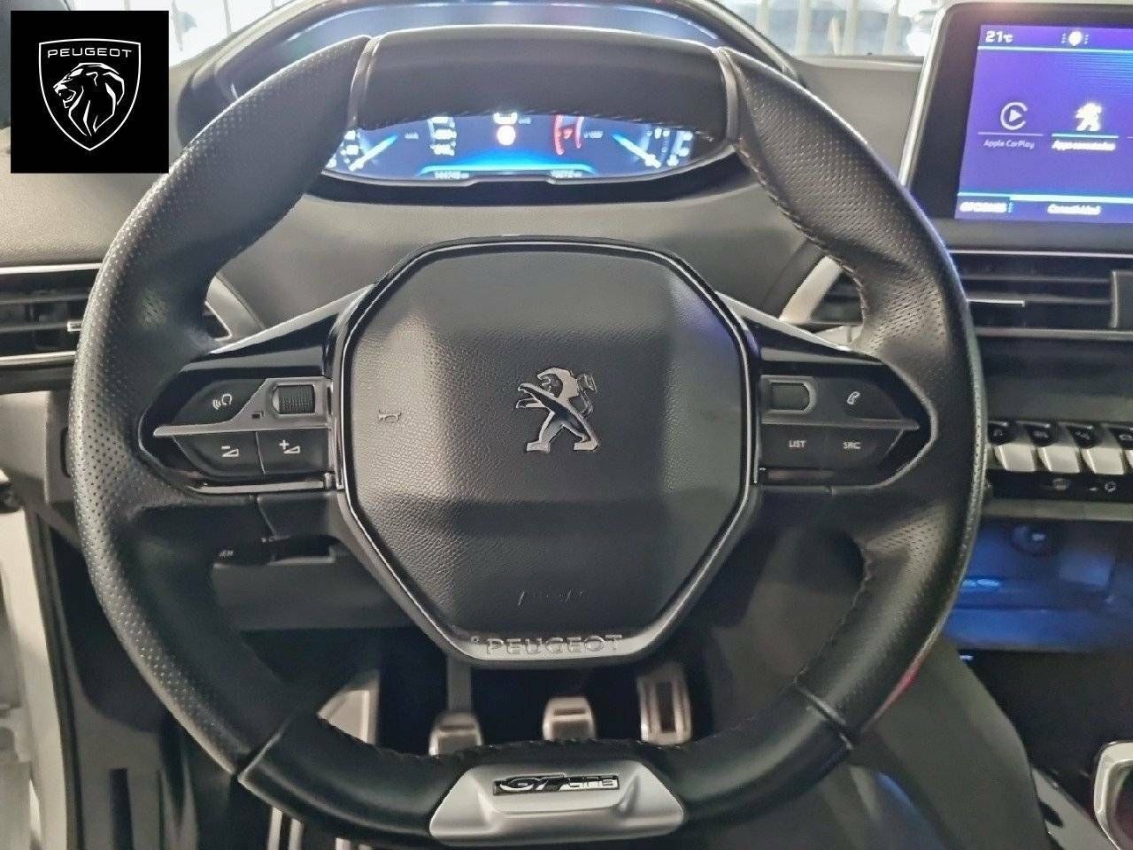 Foto Peugeot 3008 16