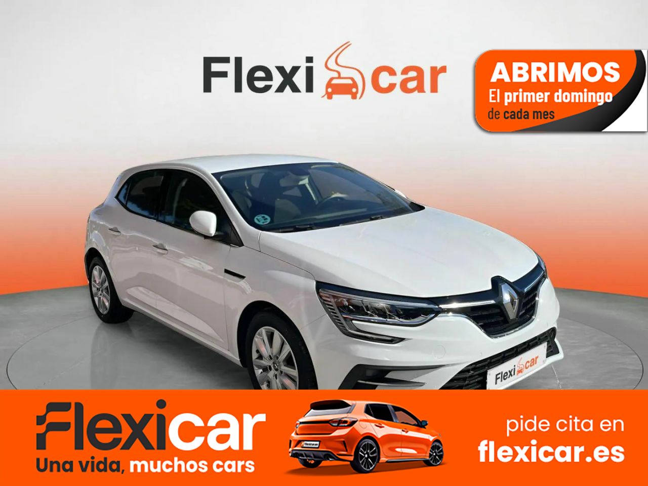 Foto Renault Mégane 1