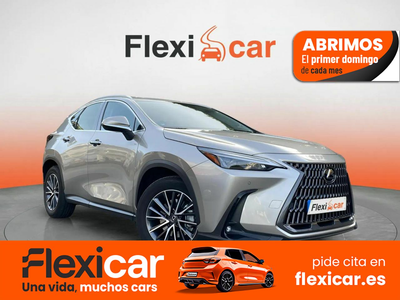 Foto Lexus NX 1