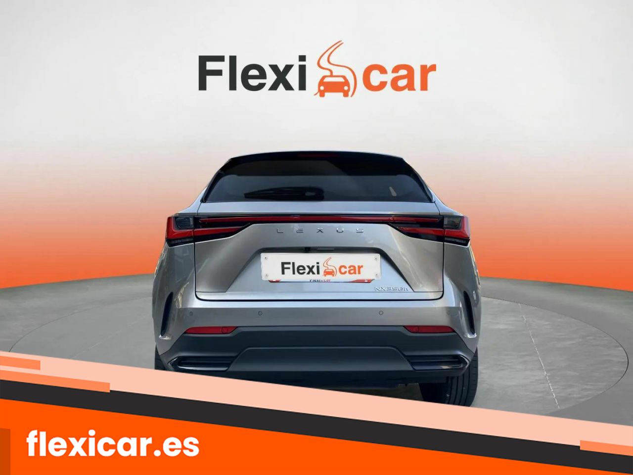 Foto Lexus NX 14