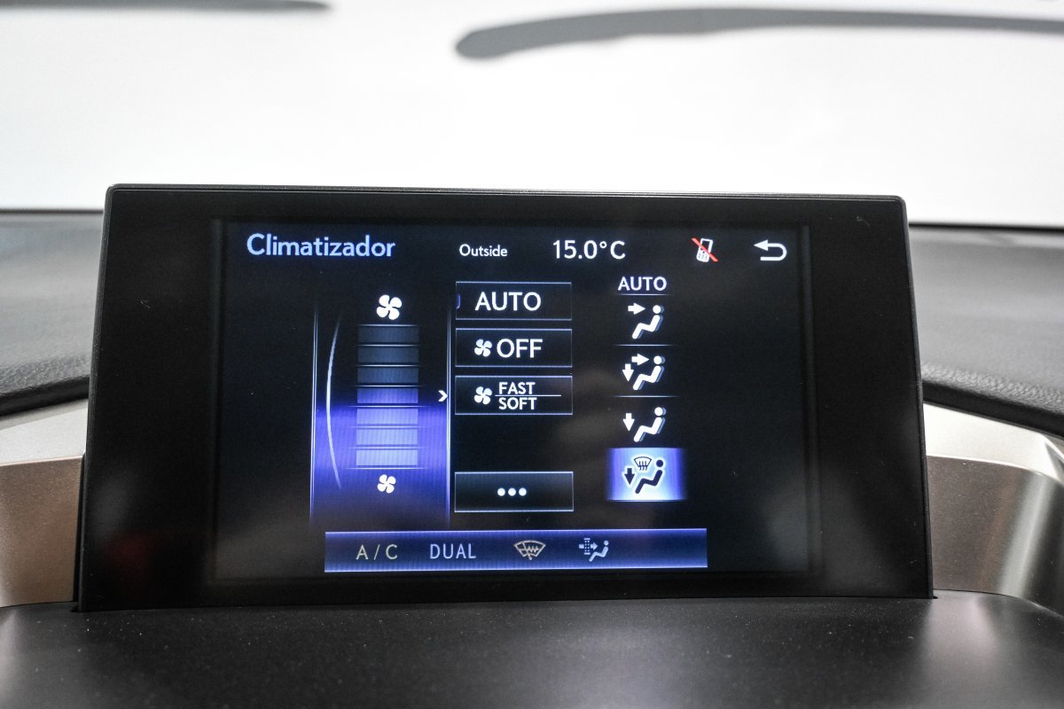 Foto Lexus NX 16