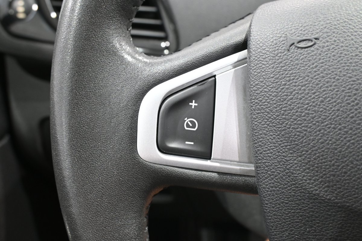 Foto Renault Grand Scénic 22