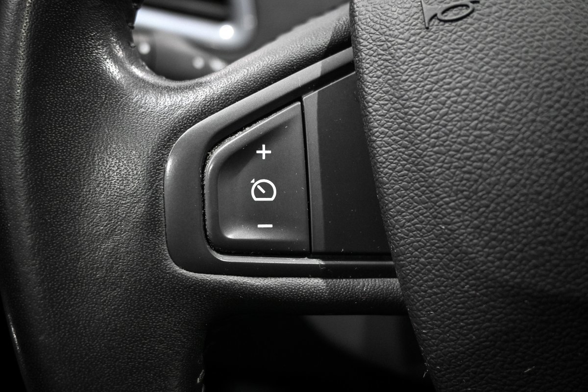 Foto Renault Scénic 21