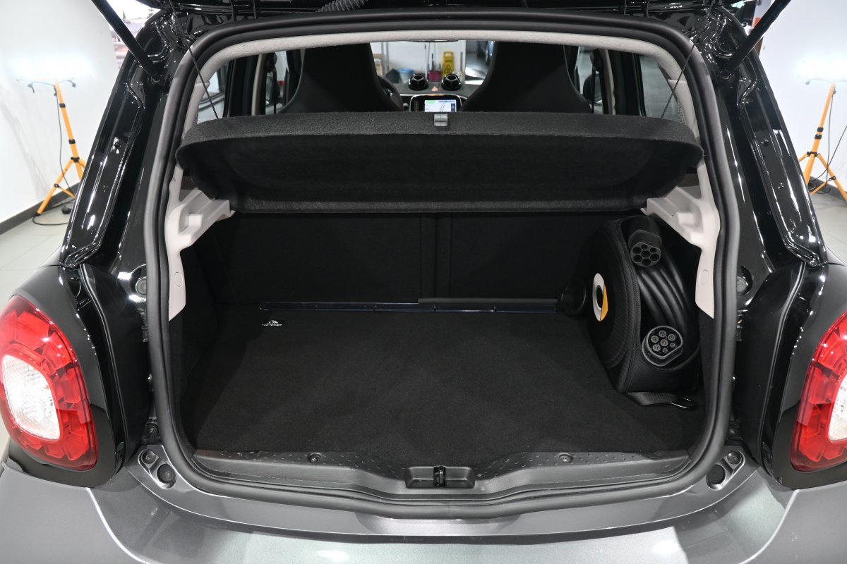 Foto Smart Forfour 8